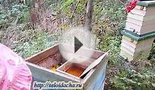 Пчеловодство для начинающих. Работа на пасеке. Кормление